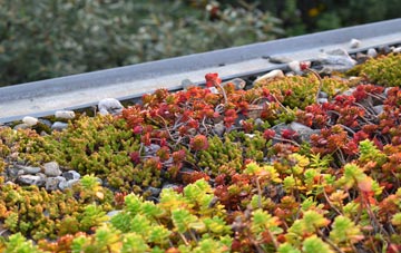 the cost of Appleby green roof installation