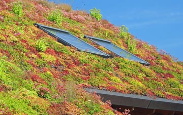 Appleby living roof systems
